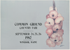 CGCF Individual NOTECARDS