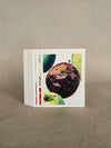 Apple Notecard SET