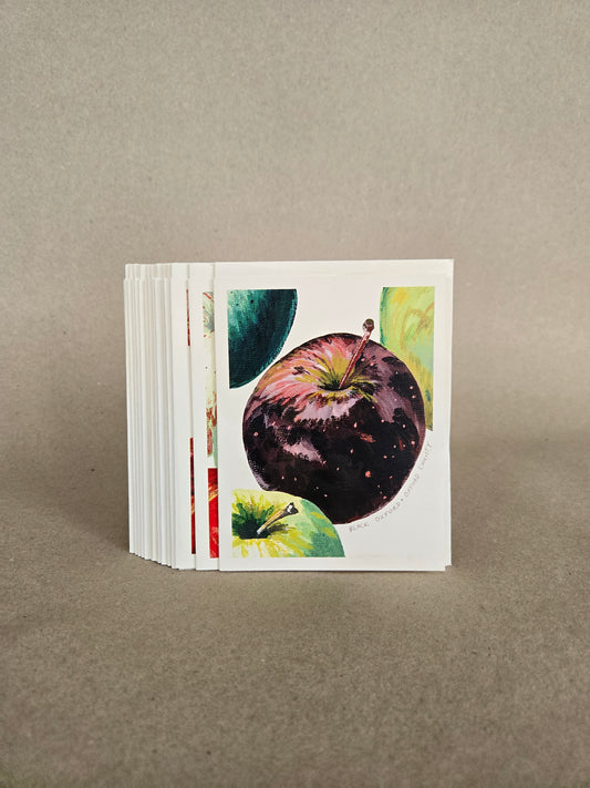 Apple Notecard SET