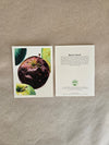 Maine Heirloom Apple Notecard: Individual Cards