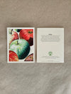 Maine Heirloom Apple Notecard: Individual Cards