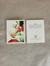 Maine Heirloom Apple Notecard: Individual Cards