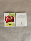 Maine Heirloom Apple Notecard: Individual Cards
