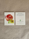 Maine Heirloom Apple Notecard: Individual Cards