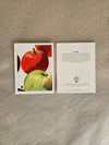 Maine Heirloom Apple Notecard: Individual Cards