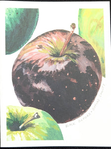 Maine Heirloom Apple Notecard: Individual Cards