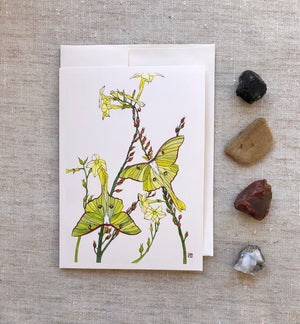 Mattie Rose Art - Notecards
