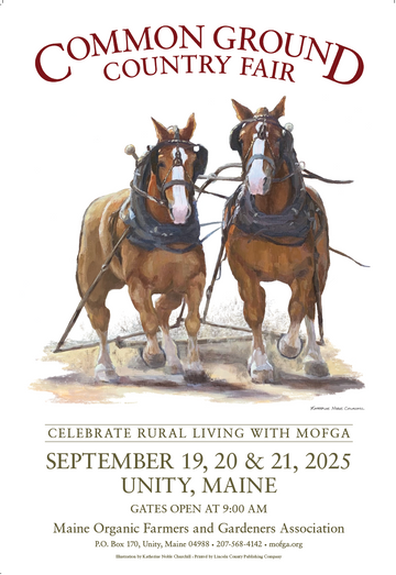 2025 Belgian Draft Horses - Large Poster