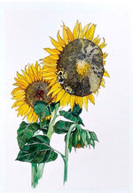 Mattie Rose Art - Notecards