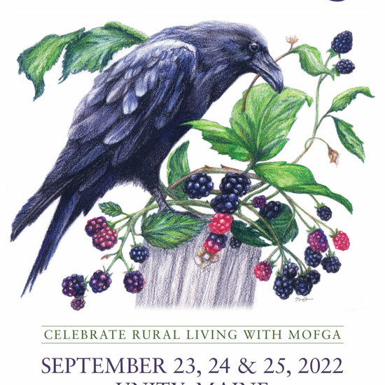 2022 Raven - Mini Poster – MOFGA's Country Store