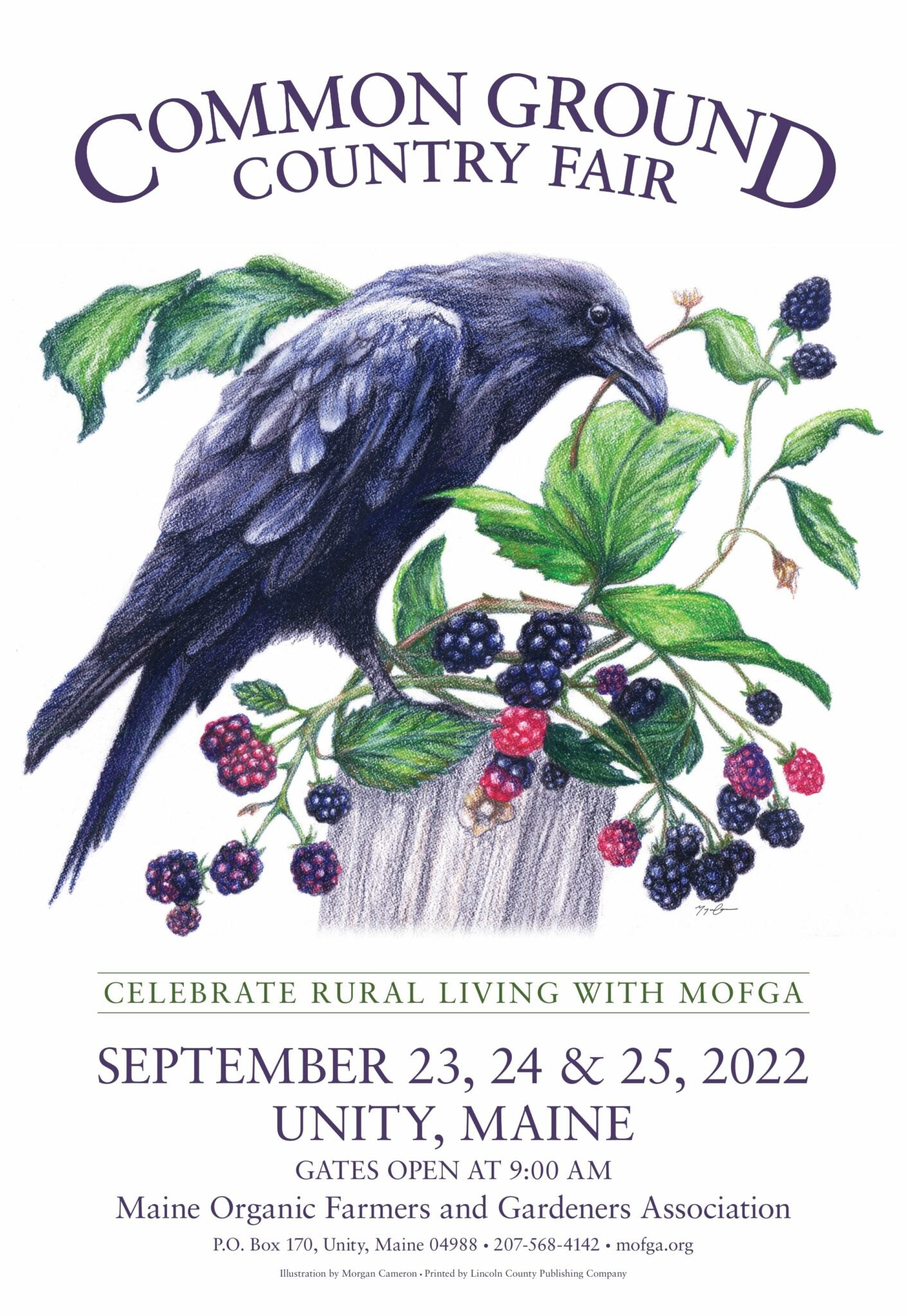 2022 Raven and Blackberries 8 1/2 x 11