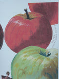 Maine Heirloom Apple Notecard: Individual Cards