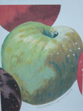 Maine Heirloom Apple Notecard: Individual Cards