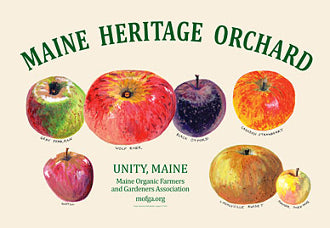 MOFGA Common Ground Country Fair poster depicting illustrations of the following heritage apple varieties: Grey Pearmain, Wolf River, Black Oxford, Canadian Strawberry, Guptill, Lincolnville Russet, Summer Sweeting. The apples are arranged around large green text saying “Maine Heritage Orchard” and another piece of text further down stating information about MOFGA. The poster is in color with a white background.