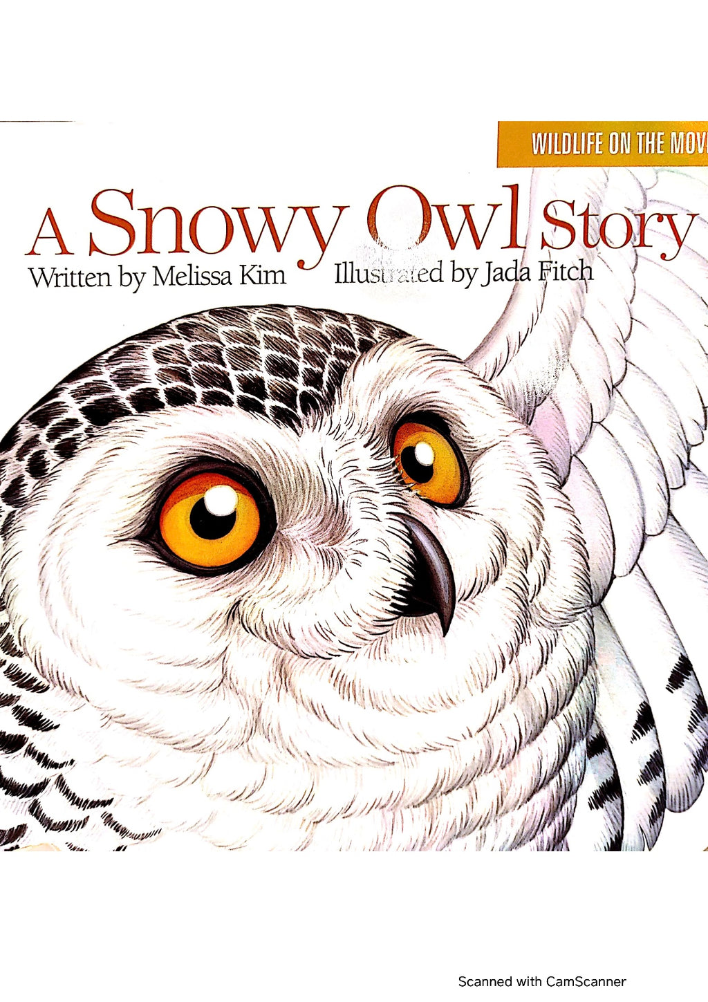 A Snowy Owl Story