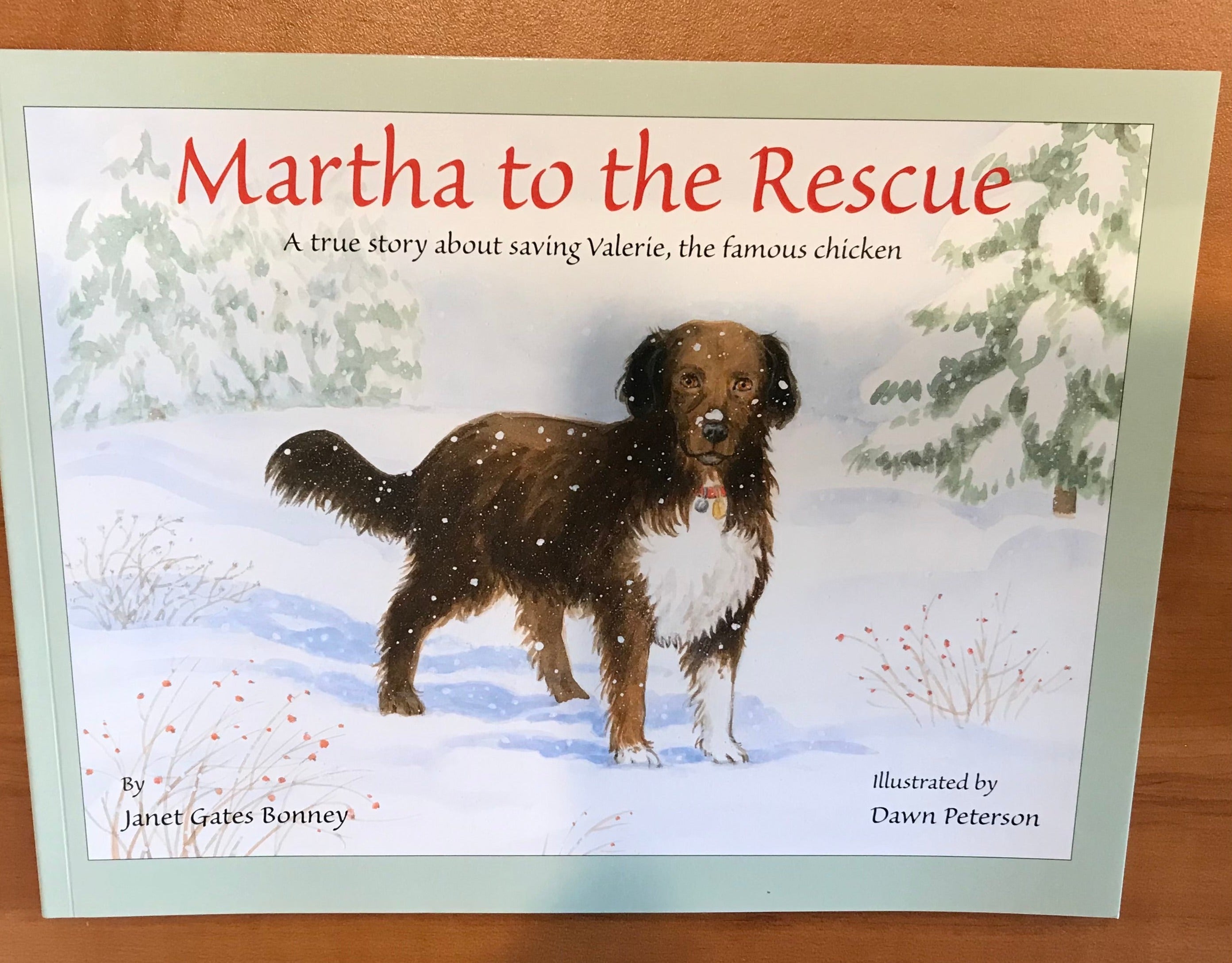 Martha to the Rescue- Paperback